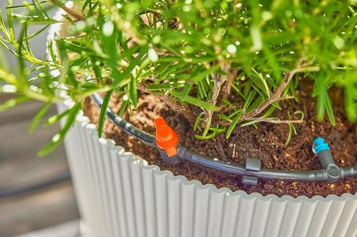 Micro-Drip-System Drip Irrigation Set Terrace (30 plants): Starter set, ready to use, water-saving irrigation system, simple & flexible connection technology (13400-20)