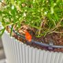 Micro-Drip-System Drip Irrigation Set Terrace (30 plants): Starter set, ready to use, water-saving irrigation system, simple & flexible connection technology (13400-20) Image 7