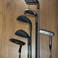 golf club mix of wedge and putter