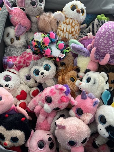 beanie boos