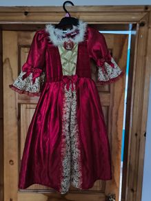 Belle Christmas costume