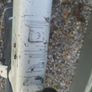 bike Image 7