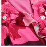 Ted baker dress Image 4