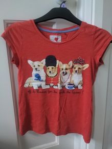 NEXT girls T-shirt