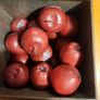 27 X Faux Fake Decorative Red Apples IN A VINTAGE Jacob's Buiscuit Tin. Image 4
