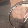 Giant TCR Image 6