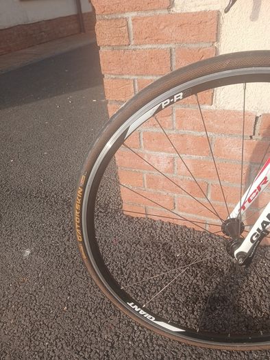 Giant TCR