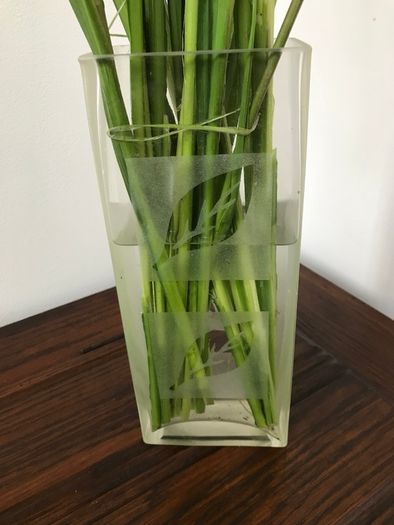 Glass Vase