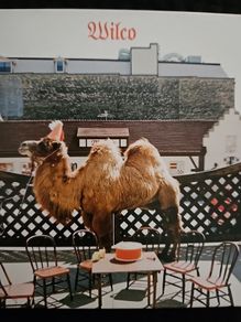 Wilco - (The Album)