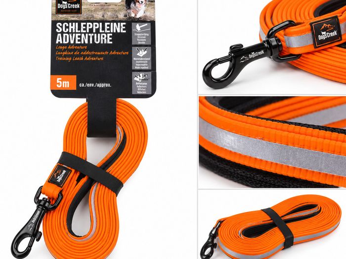Dogs Creek Adventure 5m training leash