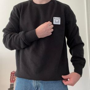 Pokemon Jumper