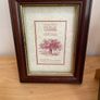 Frames - Photo Frames (5euro each) Image 2