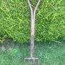 Antique 1930's-50's "Y" Handle Fork. Image 4