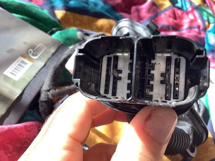 2015-18 Ford Focus Rear Right Door Wiring Loom