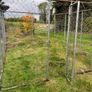dog run Image 4