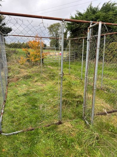 dog run