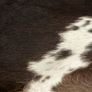 Real Cow Hide Rug Black 150x170 cm Image 3