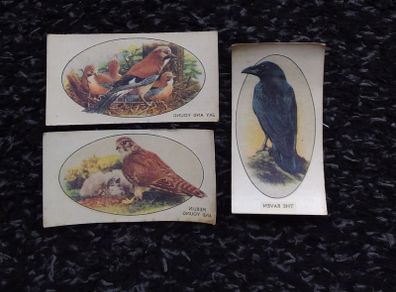 John Player and Sons Cigarette Transfer Cards - Wild Birds Series - 1932