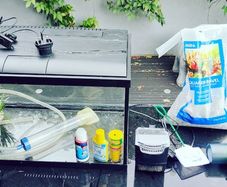 Fish Tank 54 litres (W 55 L 33 H 30)