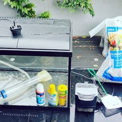 Fish Tank 54 litres (W 55 L 33 H 30)
