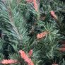 christmas tree pine 7 ft with stand and accessories Image 2
