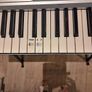 Piano Keyboard - Rockjam 661 Image 4