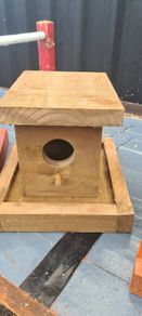 bird box