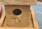 bird box