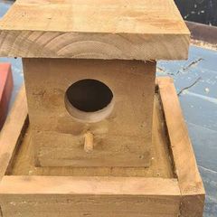 bird box