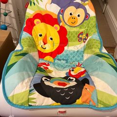 Fisher Price Baby Bouncer
