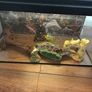 fish tank Image 3