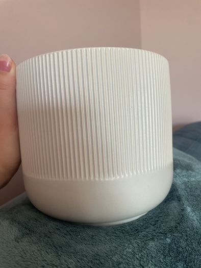 Plant pot