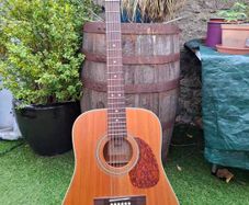 Cort 12 string