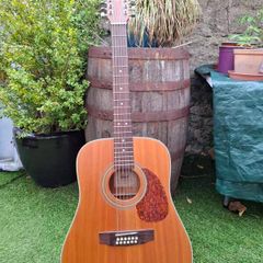 Cort 12 string