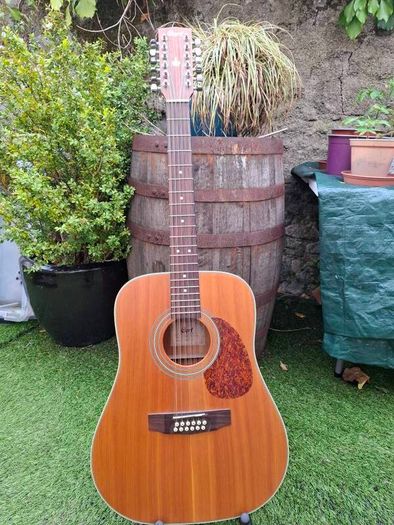 Cort 12 string