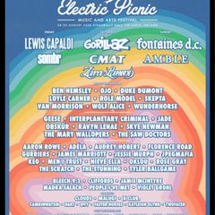 weekend electric picnic ticket