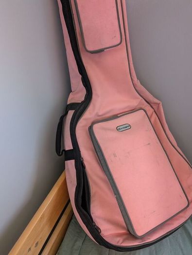 pink guitar case