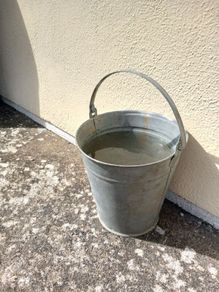 Bucket