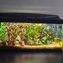 Ciano 76 litre tank Image 3