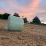 42 Bales of Haylage, Not chopped, good for horses Image 3