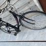 bicycle Image 2