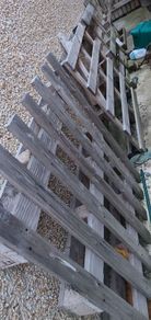 Free wooden pallet