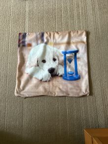Handmade small  cushion cover
