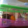 Hamster Cage Image 5