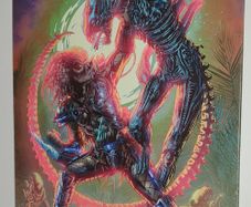 DISPLATE Alien vs Predator Limited Edition