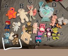 soft teddys