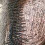 Brown wig Image 3