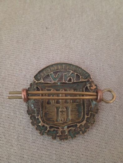 National Volunteers Cap Badge