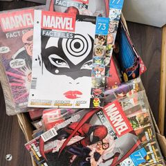 Marvel factfile