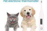 Pet Digital LCD Thermometer